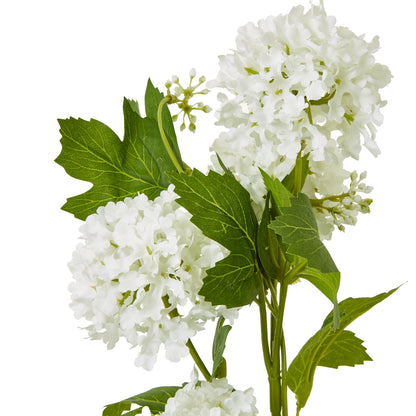 Cream Snowball Viburnum Spray image 2