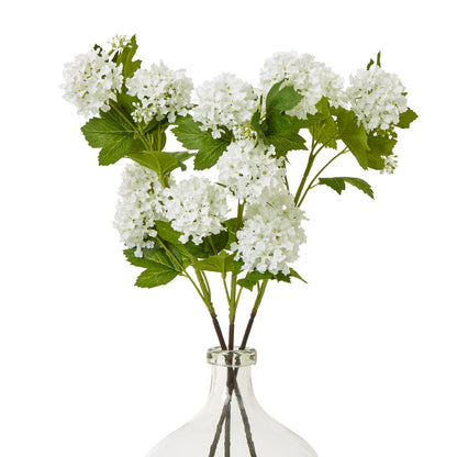 Cream Snowball Viburnum Spray image 3
