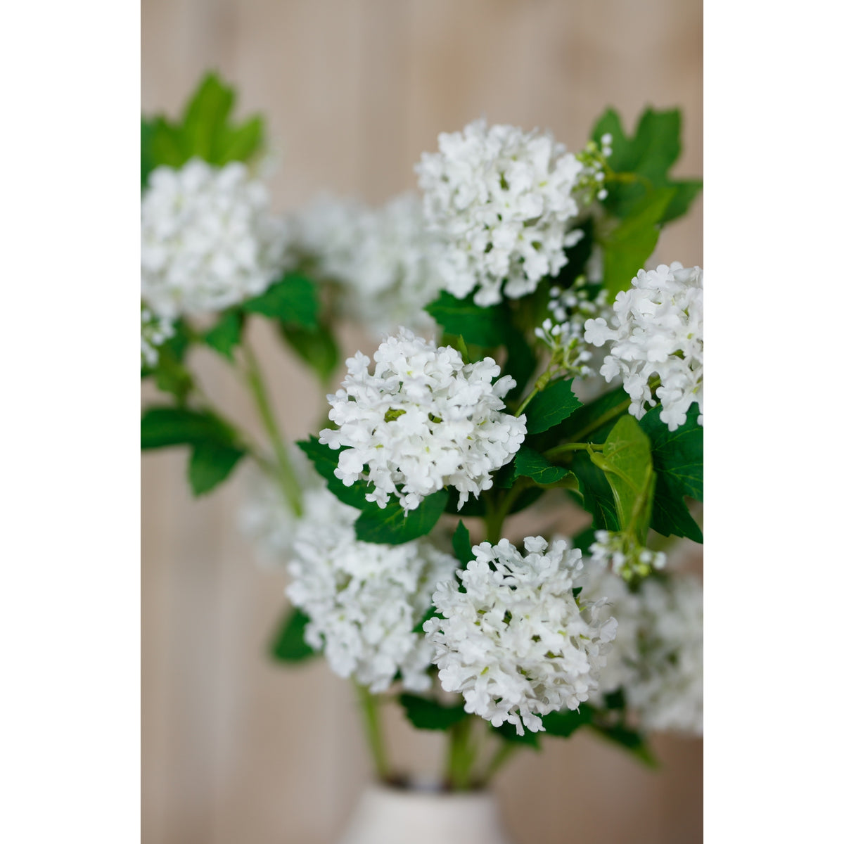Cream Snowball Viburnum Spray image 5
