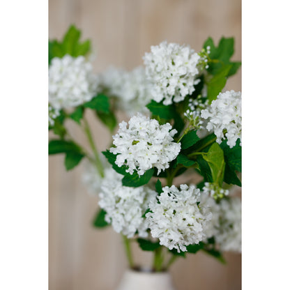 Cream Snowball Viburnum Spray image 5