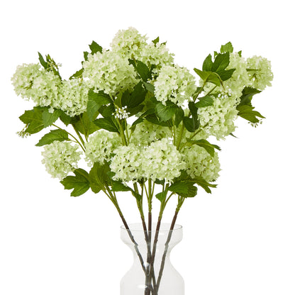 Green Snowball Viburnum Spray image 3