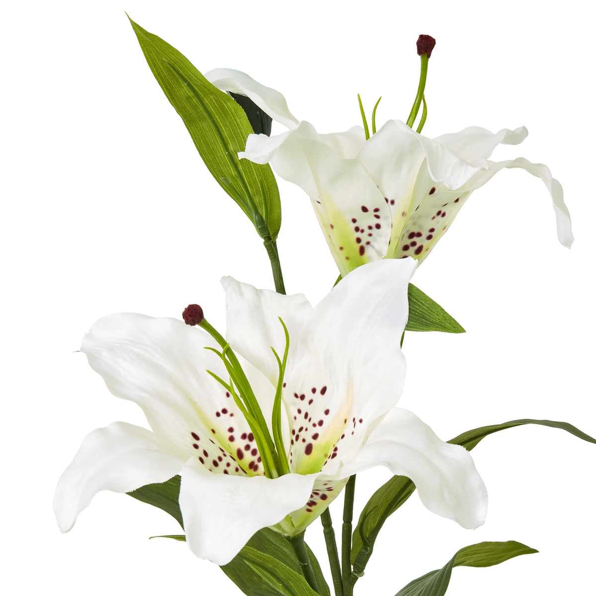 White Madonna Lily Spray image 2