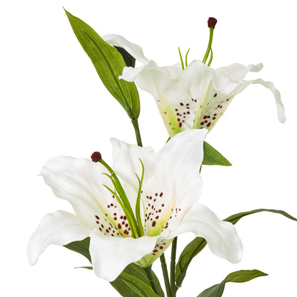 White Madonna Lily Spray image 2