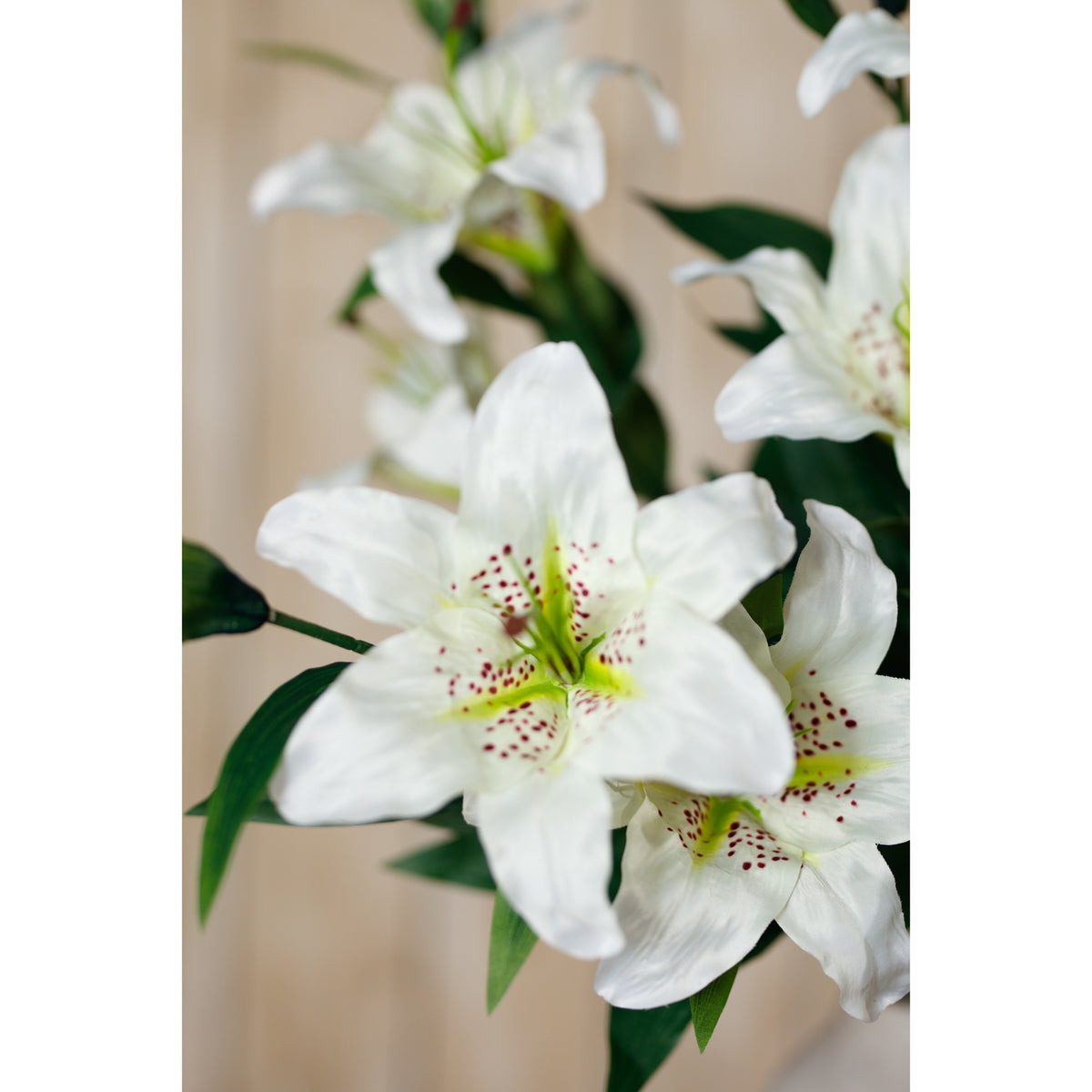 White Madonna Lily Spray image 5