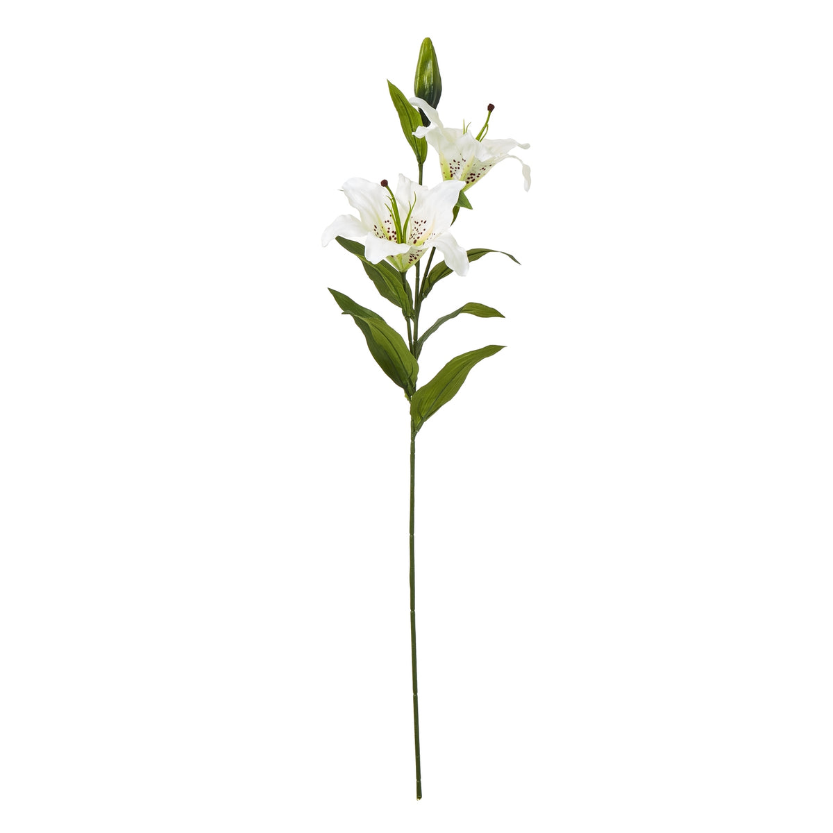 White Madonna Lily Spray image 1