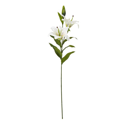 White Madonna Lily Spray image 1