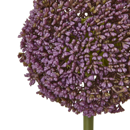 Purple Allium Stem image 2