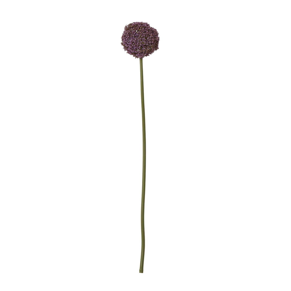Purple Allium Stem image 1