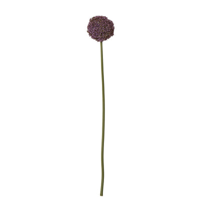 Purple Allium Stem image 1