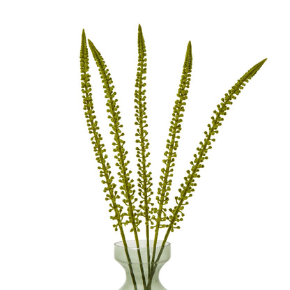 Green Eremurus Stem image 3