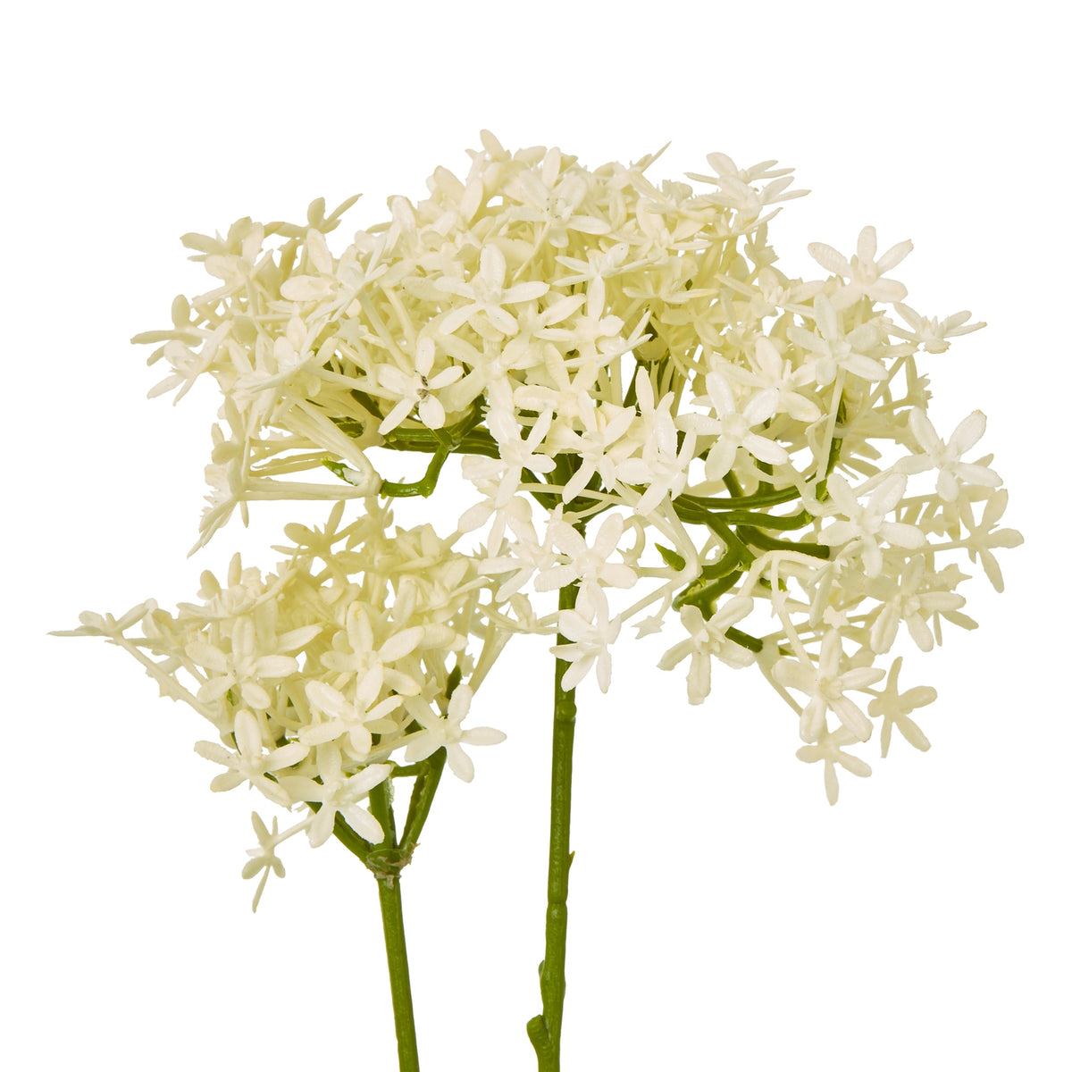 Cream Crown Hydrangea Stem image 2