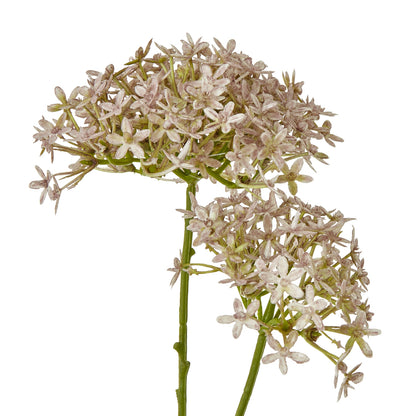 Lilac Crown Hydrangea Stem image 2