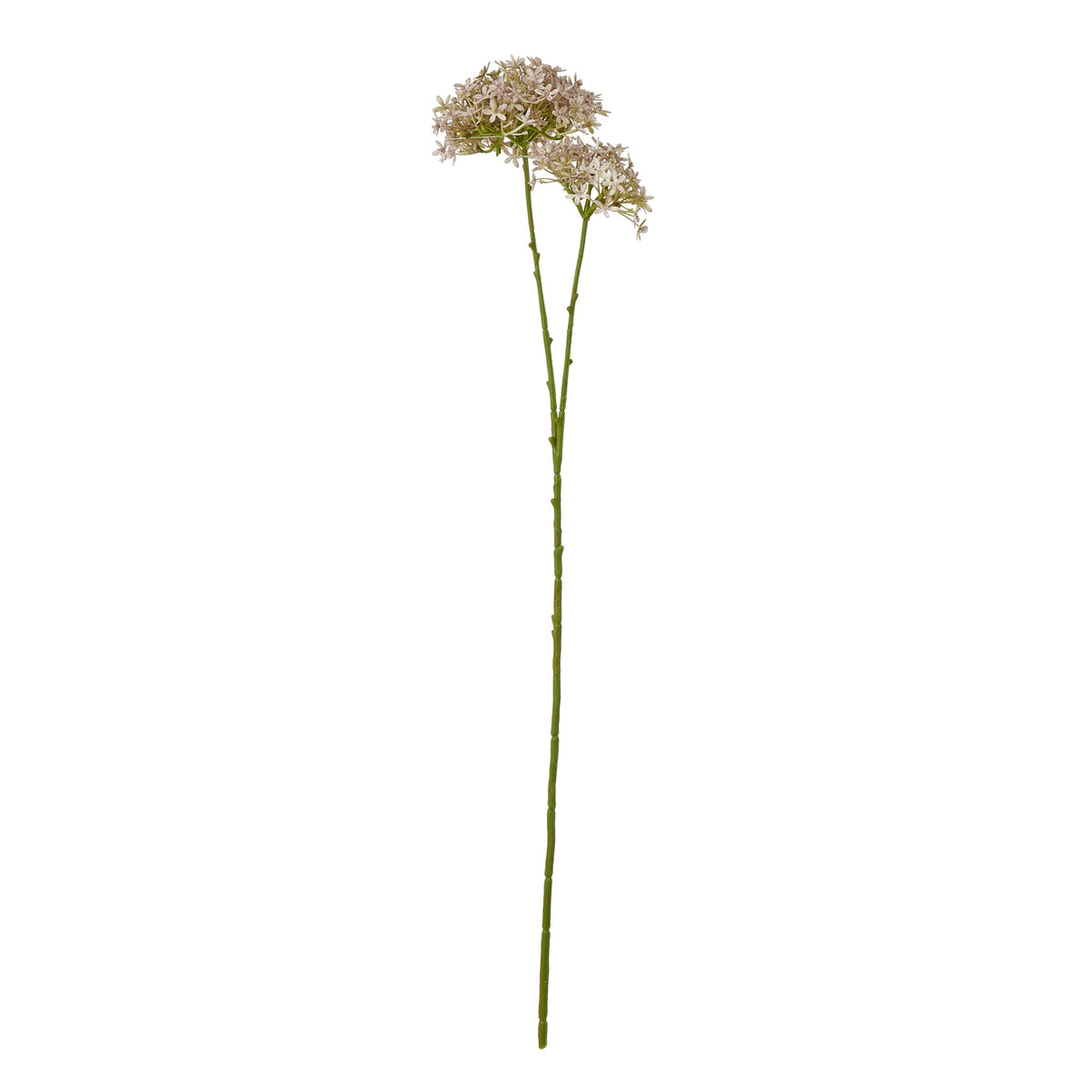 Lilac Crown Hydrangea Stem image 1