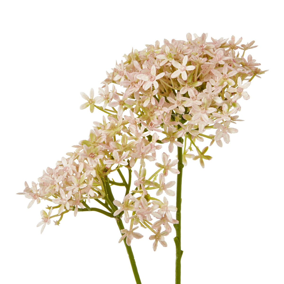 Pink Crown Hydrangea Stem image 2