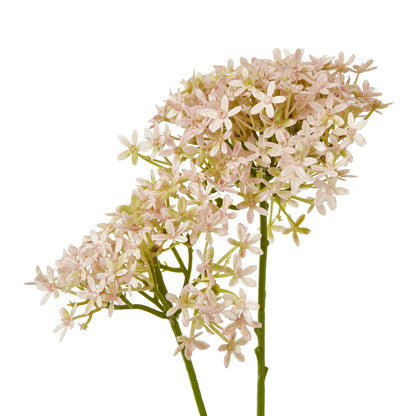 Pink Crown Hydrangea Stem image 2