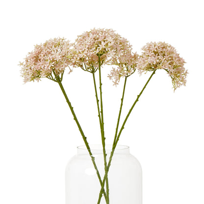 Pink Crown Hydrangea Stem image 3