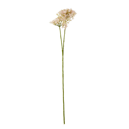 Pink Crown Hydrangea Stem image 1