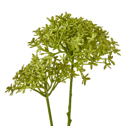 Green Crown Hydrangea Stem image 2