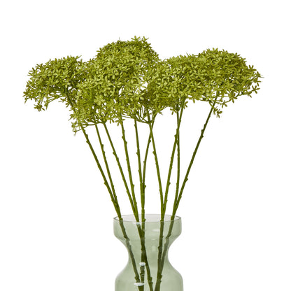 Green Crown Hydrangea Stem image 3