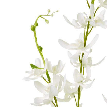 White Cymbidium Spray image 2