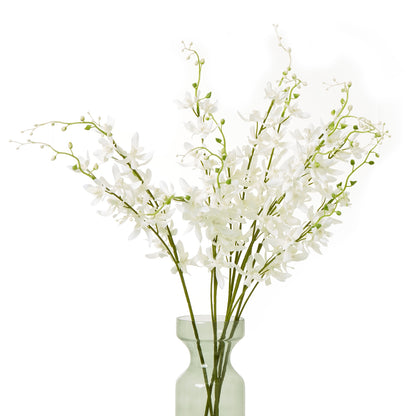White Cymbidium Spray image 3