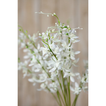 White Cymbidium Spray image 5