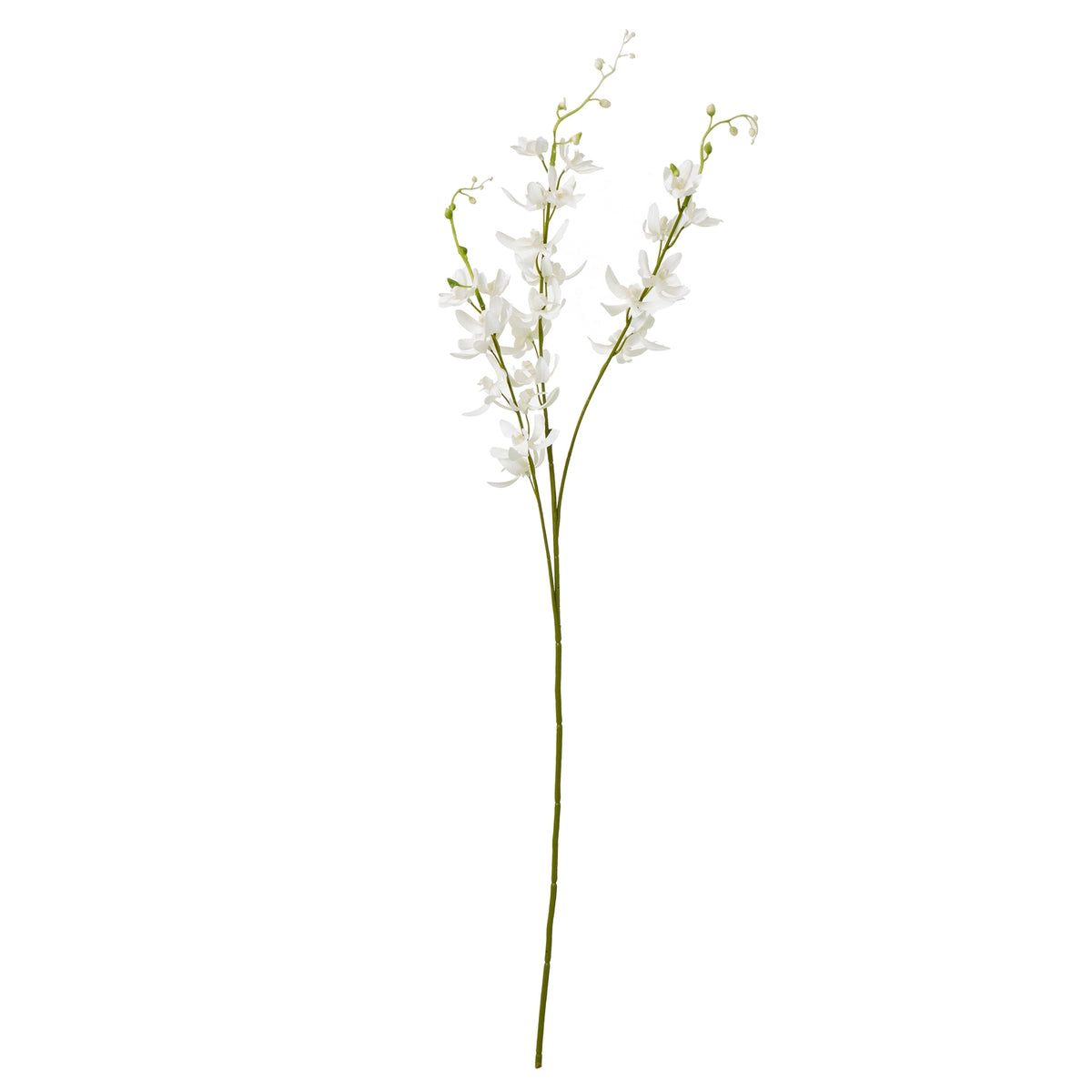 White Cymbidium Spray image 1