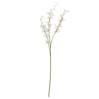 White Cymbidium Spray image 1