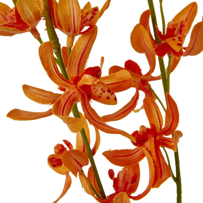 Orange Cymbidium Spray image 2