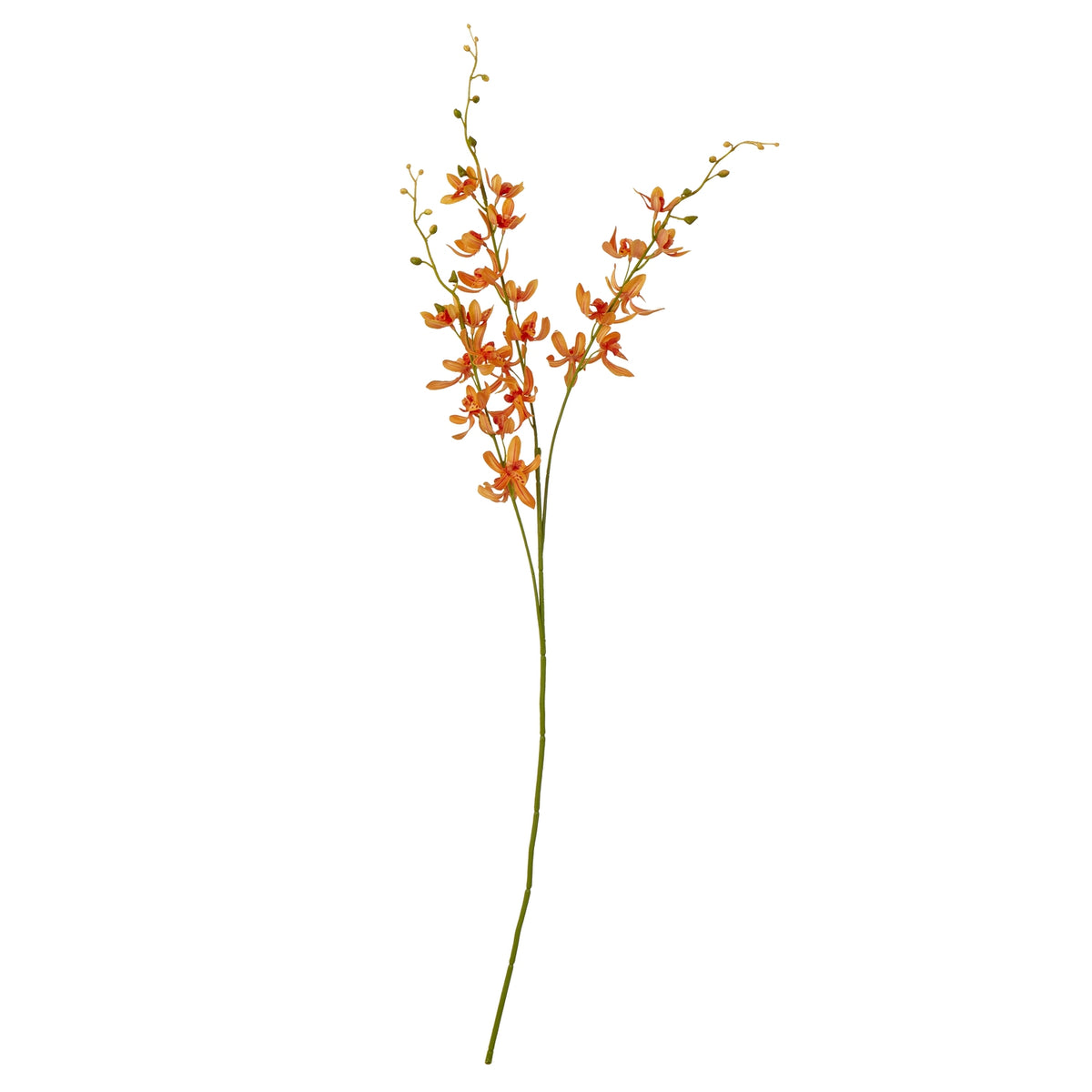 Orange Cymbidium Spray image 1