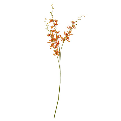 Orange Cymbidium Spray image 1