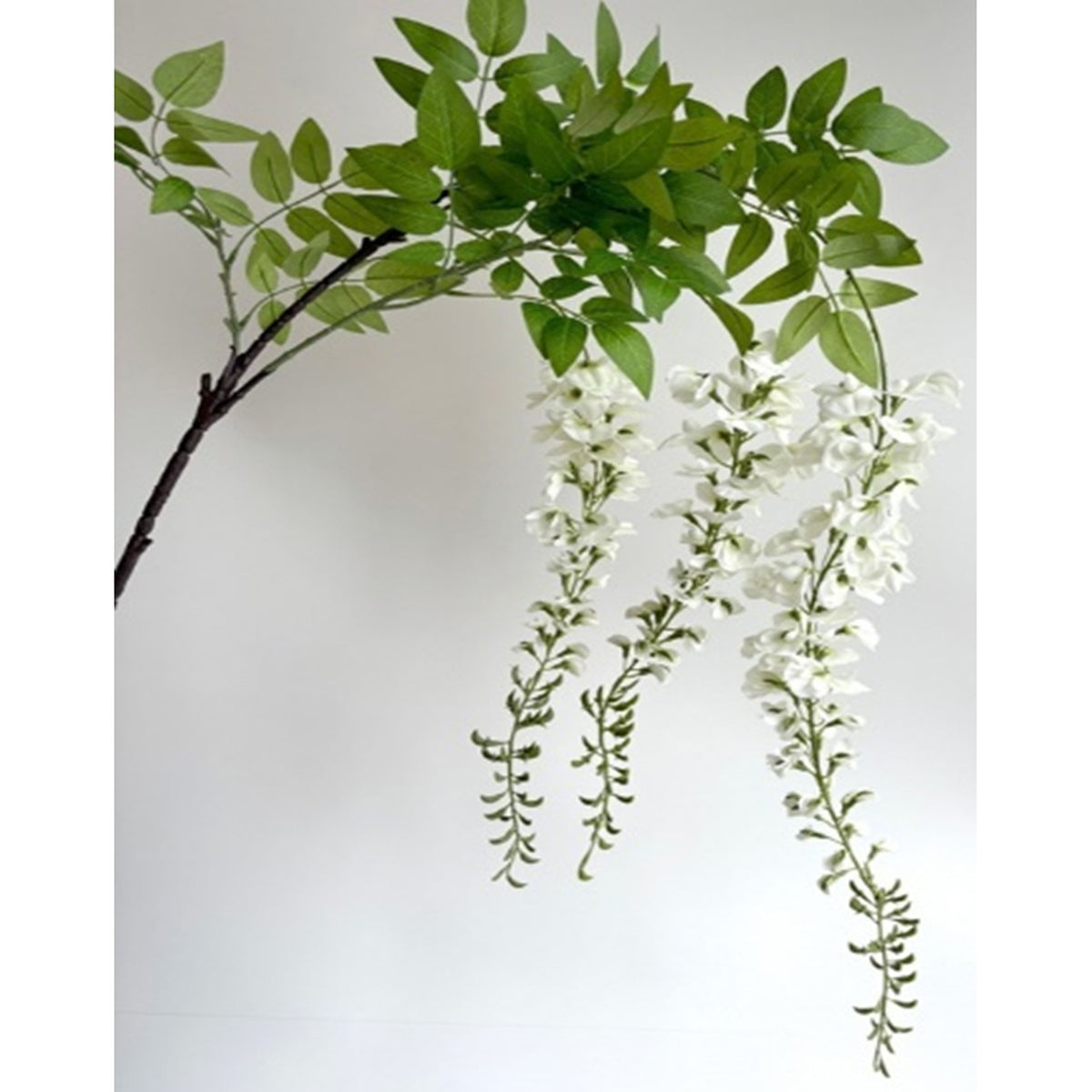 Large White Wisteria Spray image 1