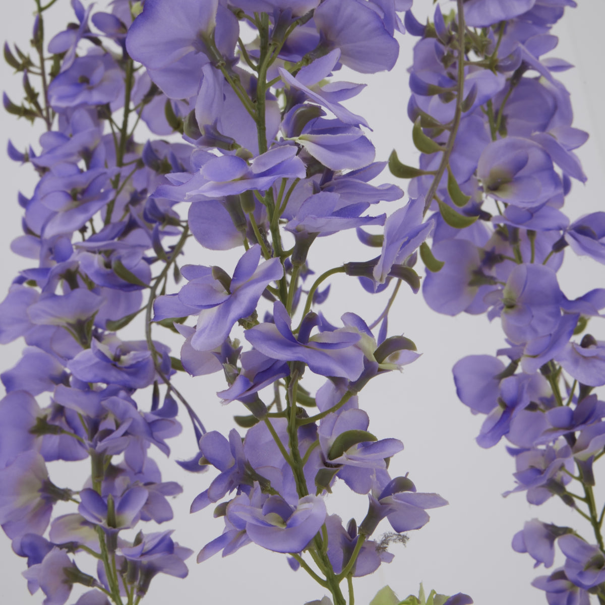 Large Purple Wisteria Spray image 3