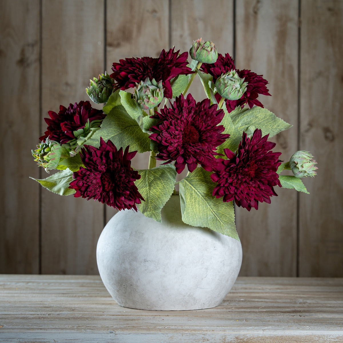 Dahlia Burgundy Raven Stem image 2