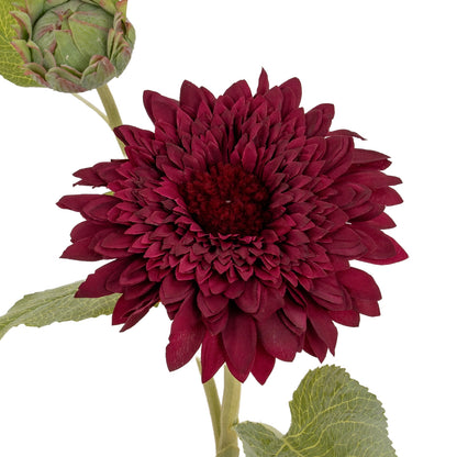 Dahlia Burgundy Raven Stem image 5