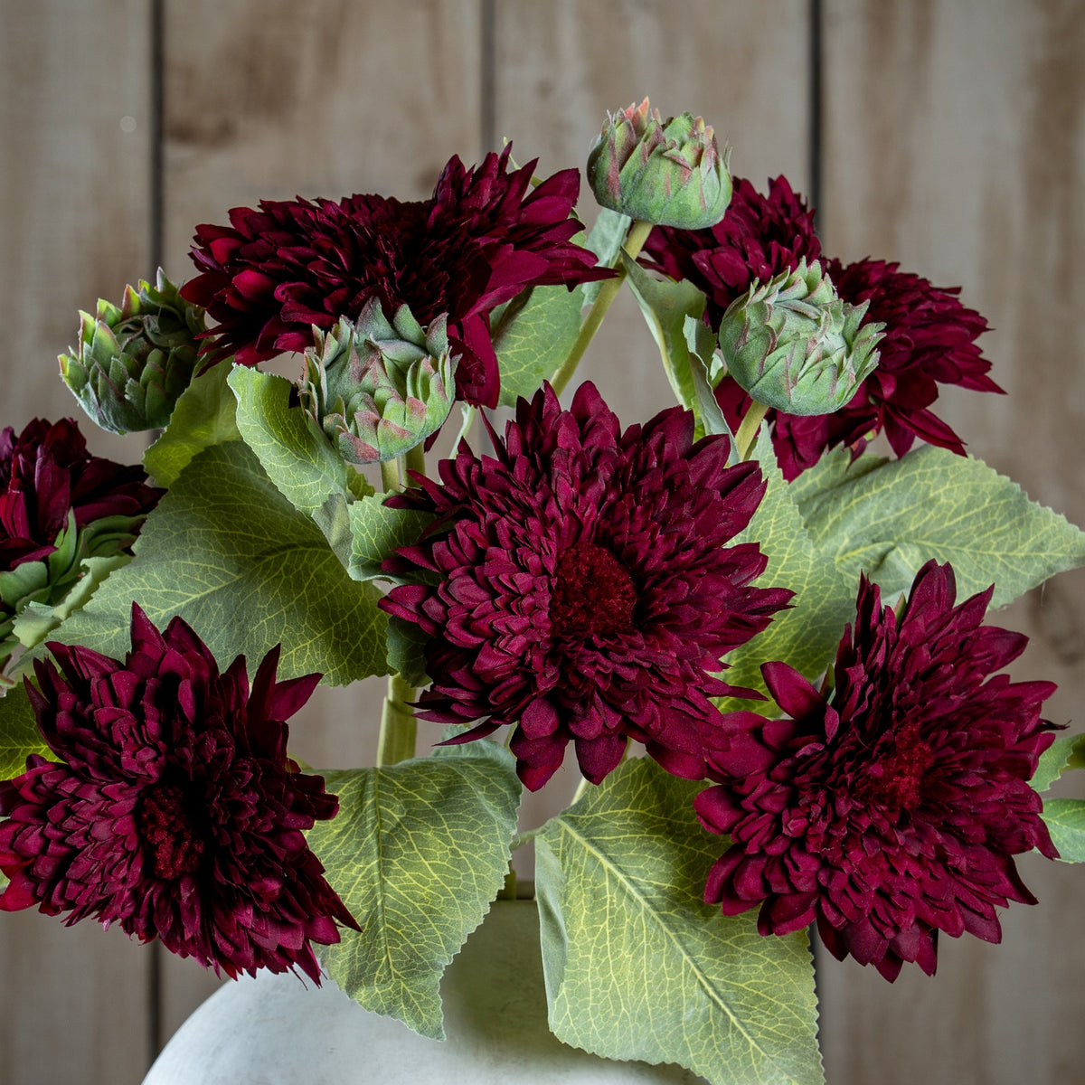 Dahlia Burgundy Raven Stem image 1