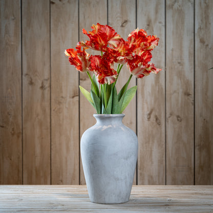 Flame Orange Parrot Tulip image 2