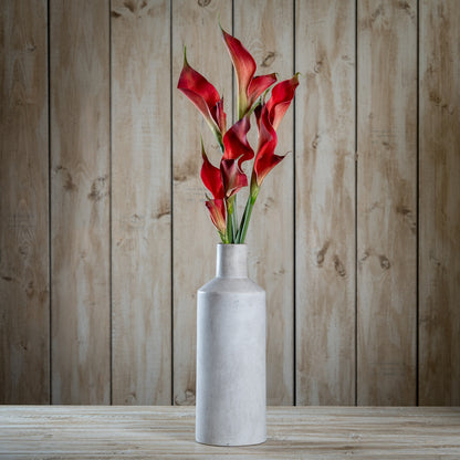 Fireball Calla Lily image 2