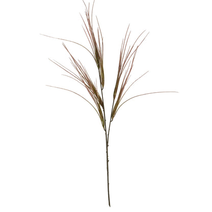 Brome Grass Spray image 2