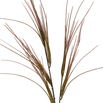 Brome Grass Spray image 1