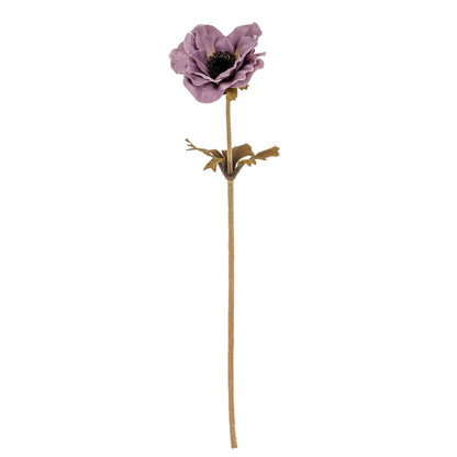 Purple Anemone Stem image 1