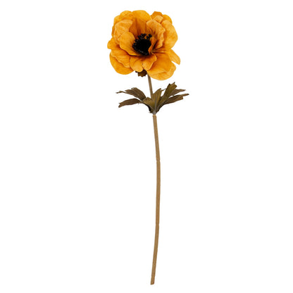 Orange Anemone Stem image 2