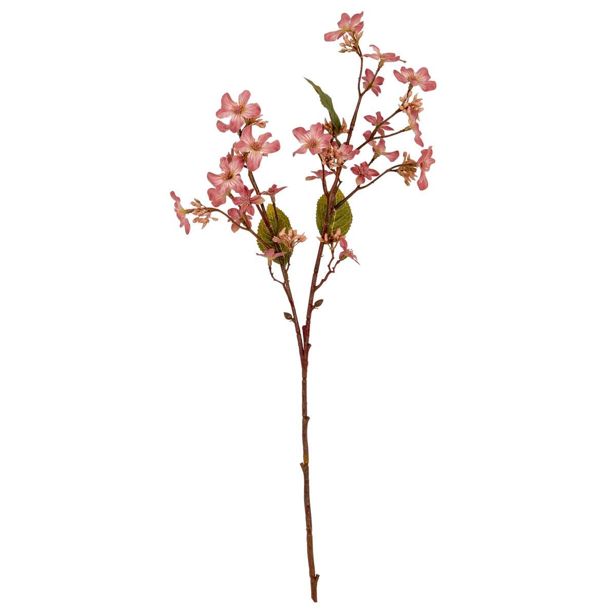 Pink Vernicia Fordii Spray image 2
