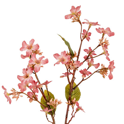 Pink Vernicia Fordii Spray image 1