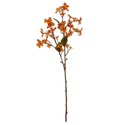Orange Vernicia Fordii Spray image 2