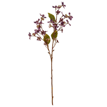 Purple Vernicia Fordii Spray image 2