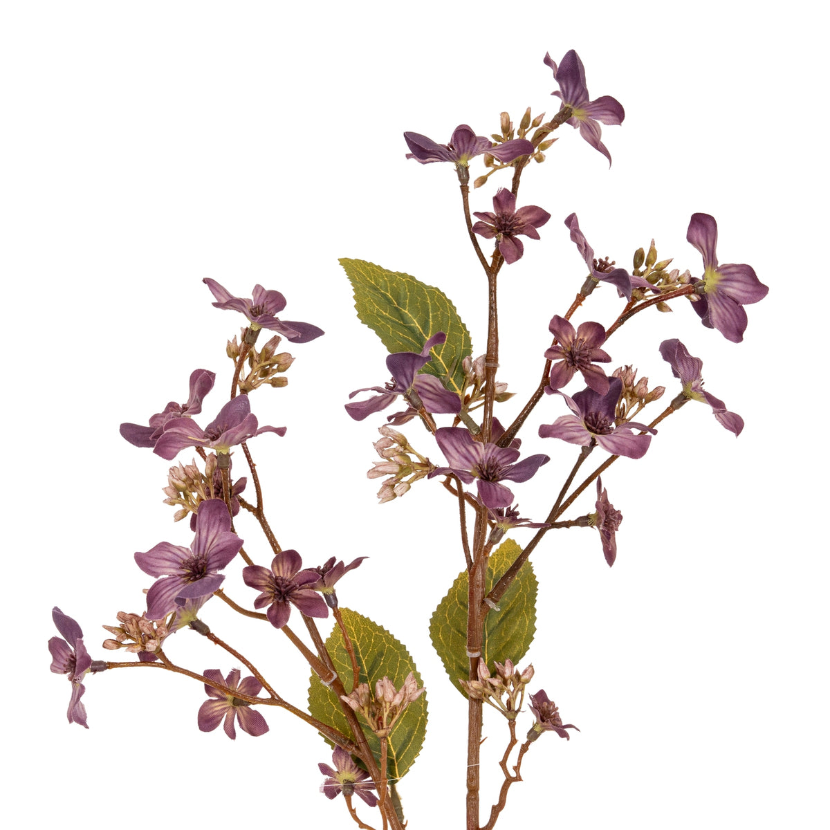 Purple Vernicia Fordii Spray image 1