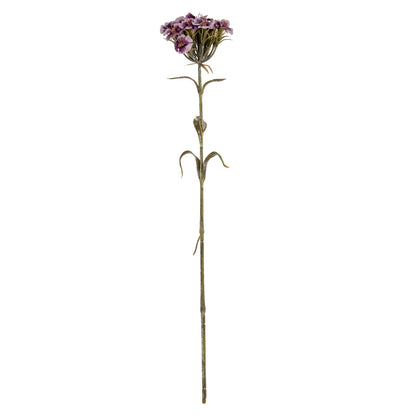 Purple Dianthus Spray image 2