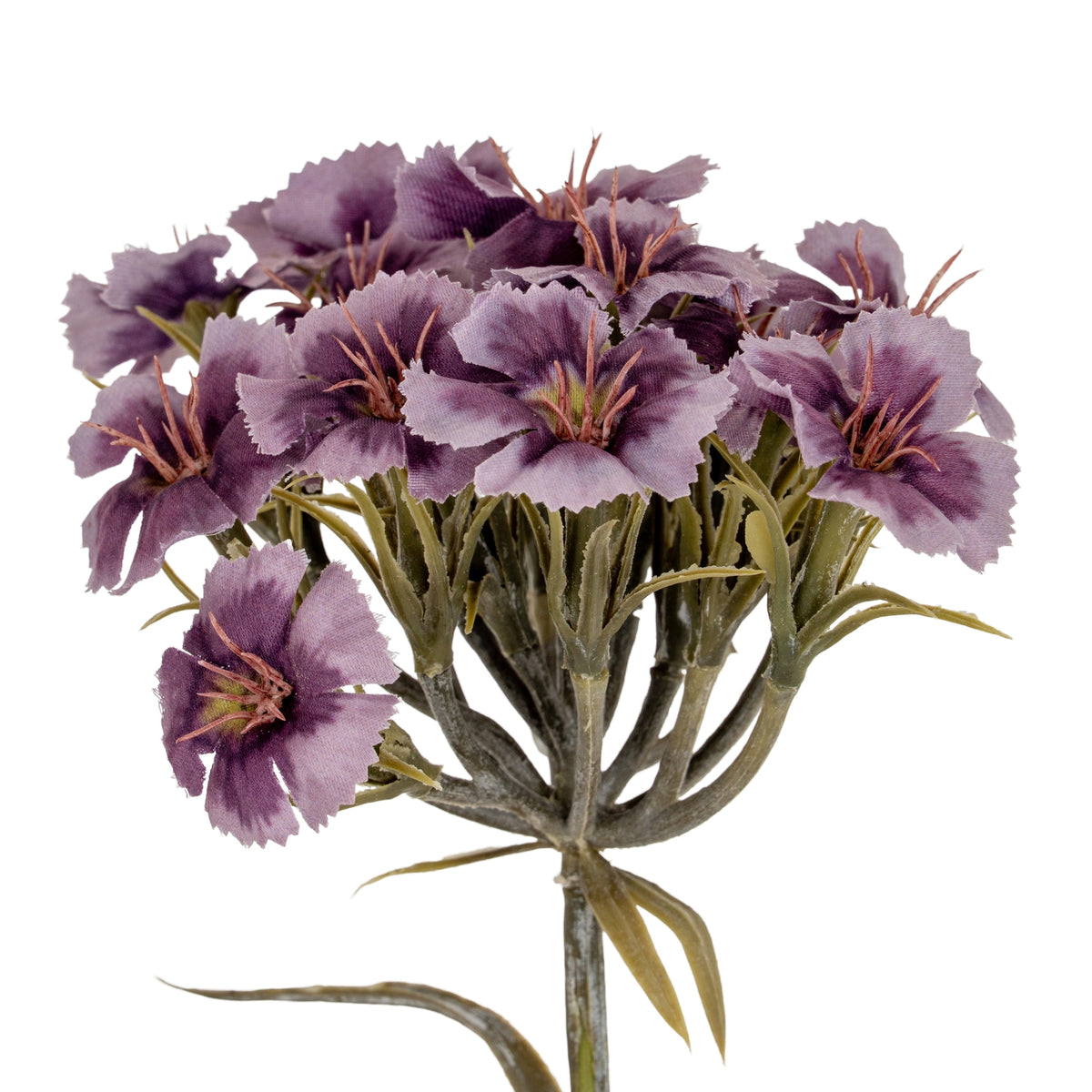 Purple Dianthus Spray image 1