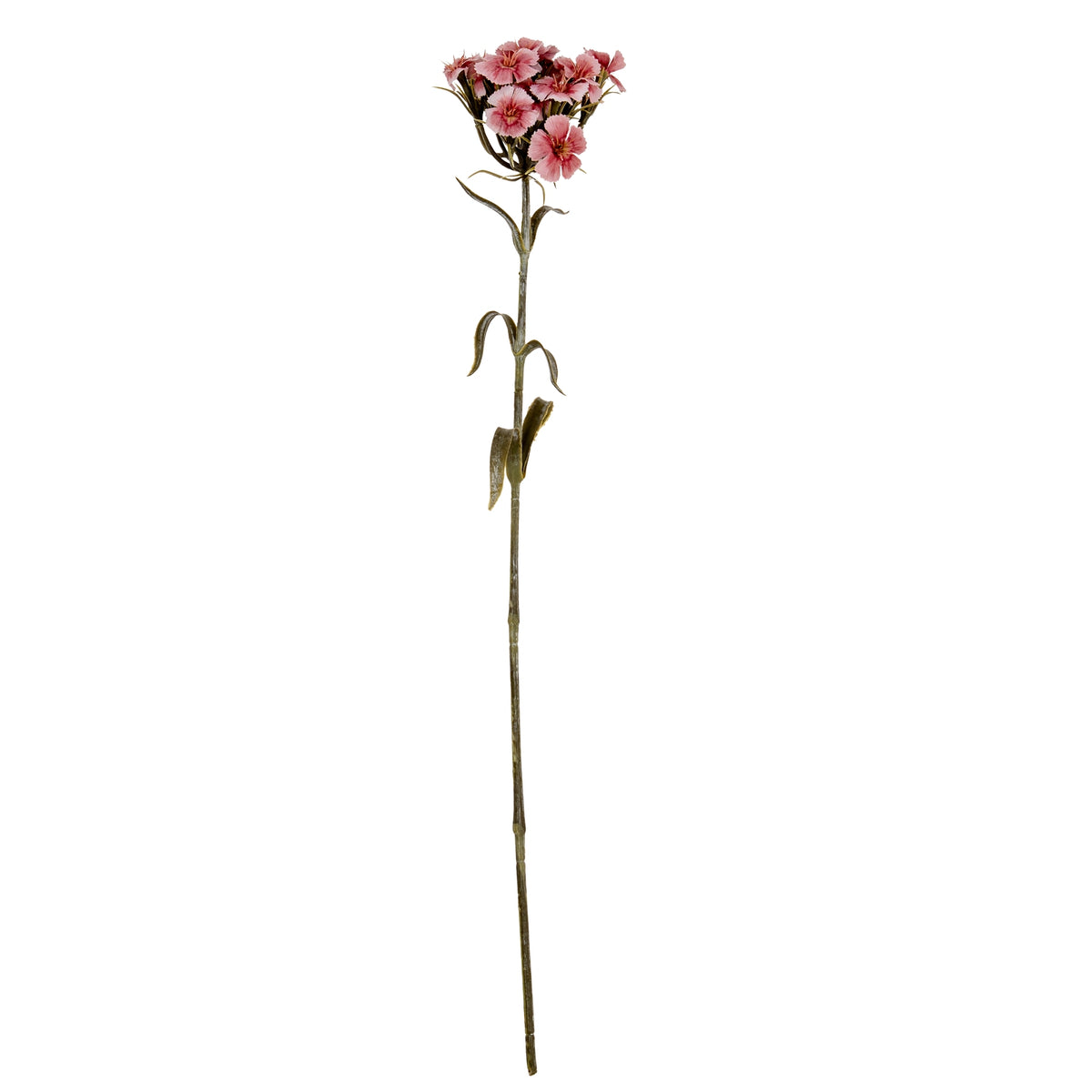Pink Dianthus Spray image 2